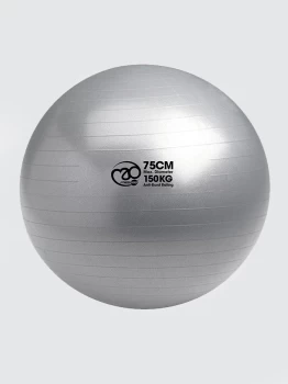 Image of Yoga Mad Anti-burst Swiss Ball With Pump 75cm - Silver