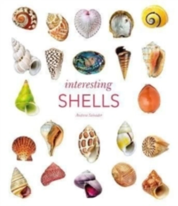 Image of Interesting Shells. Hardback. By Andreia Salvador, England Natural History Museum London Books