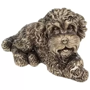 Image of Bronze Cockapoo Lying Small