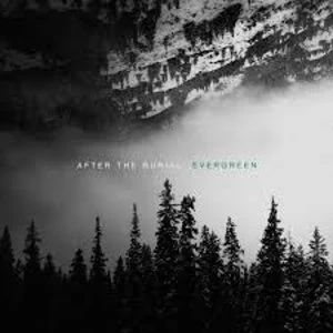 Image of After The Burial - Evergreen Vinyl
