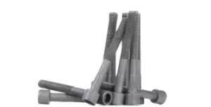 Image of AJUSA Cylinder Head Bolt Kit 81013300 Bolt Kit, cylinder head TOYOTA,MR 2 II (SW2_),CELICA (ST20_, AT20_),CELICA Coupe (AT18_, ST18_),CARINA E (_T19_)