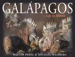 Image of galapagos life in motion
