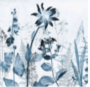 Image of Art For The Home Flower Press Ink Mural Wallpaper Paper