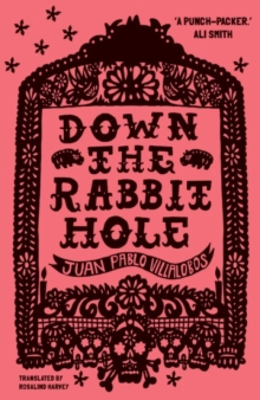 Image of Down the Rabbit Hole Paperback / softback