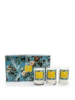 Image of Oasis Home Leighton Freesia And Musk 3 Candle Gift Set