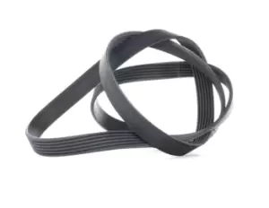 Image of CONTITECH V-ribbed belt FIAT,PEUGEOT,CITROEN 6PK1564 1612551780,5750RF,5750XA 5750Y4,5750YE,5750Z3,9651255780,1612551780,5750PR,5750T3,5750XA,5750YE