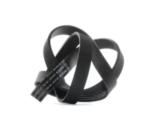 Image of Bosch V-ribbed belt FORD,FIAT,HYUNDAI 1 987 947 887 71744462,71746482,6960612 88WF6C301E2B,948F6C301AB,252122B020,2521204050,252122B020,252122B720