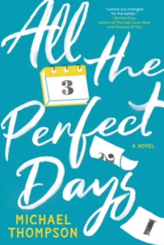 Image of All the Perfect Days Paperback / softback
