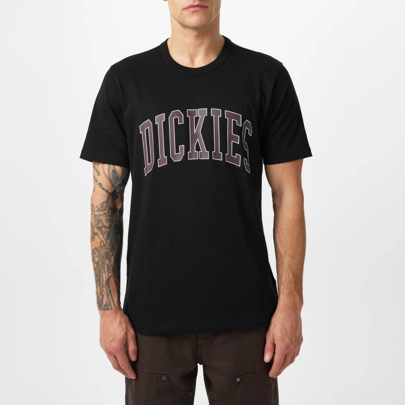 Image of Dickies Aitkin T-Shirt Black male Large