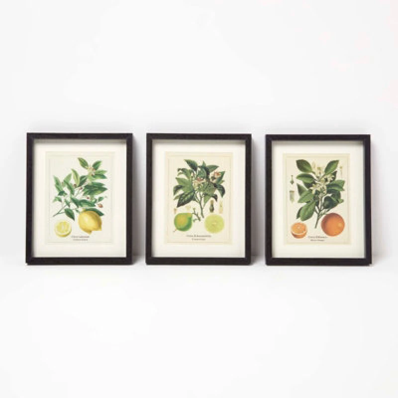 Image of Homescapes Wall Decoration Set Of 3 Frames With Picture, Citrus Fruits