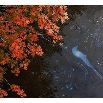 Image of Martin Archer & Engine Room Favourites - Bad Tidings from Slackwater Drag CD