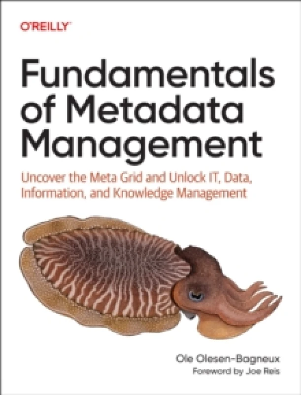 Image of Fundamentals of Metadata Management : Uncover the Meta Grid and Unlock Data, Information, and Knowledge Management Paperback / softback