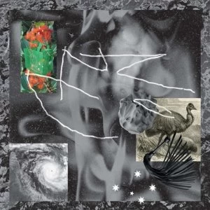 Image of No Zu ‎- Afterlife Vinyl