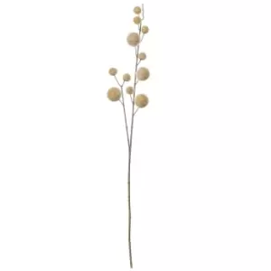 Image of Crossland Grove Pom Pom Spray (6Pk) Fawn 850Mm