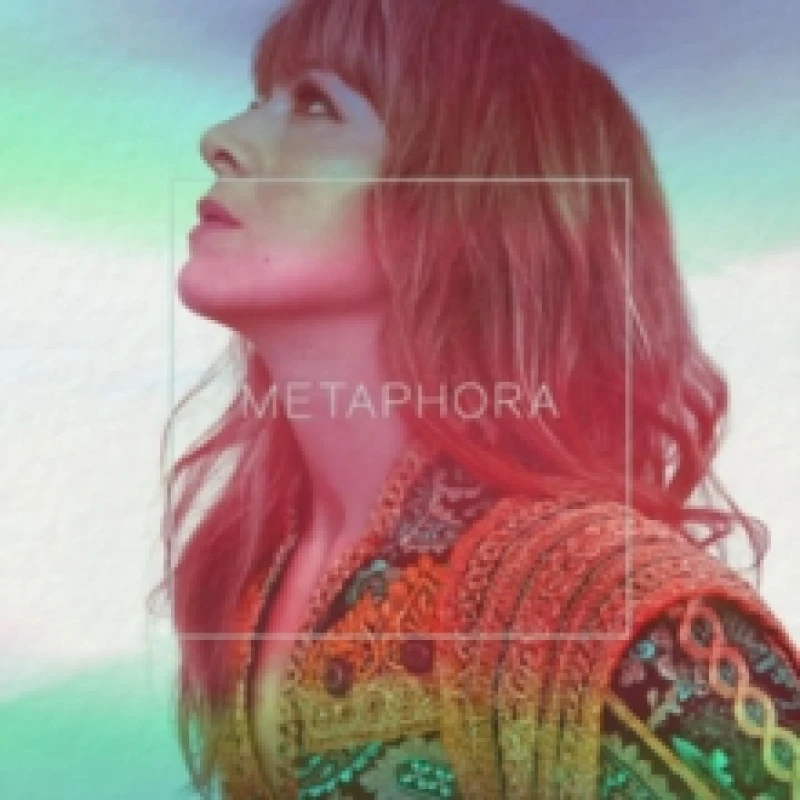 Image of Metaphora Vinyl