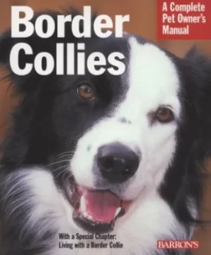 Image of Border collies by Michael DeVine