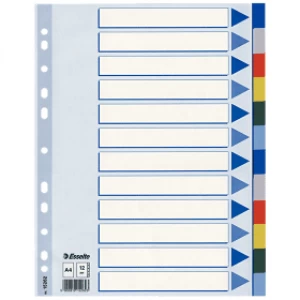 Image of Esselte 15262 A4 Plastic Dividers with 12 Tabs (11 holes)