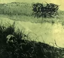 Image of In De Kwelm