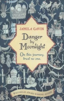 Image of Danger by Moonlight by Jamila Gavin Paperback