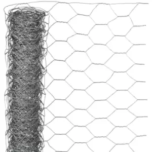 Image of Wire Mesh Hexagonal 0.5x5 m 25mm Galvanised Steel Nature Grey
