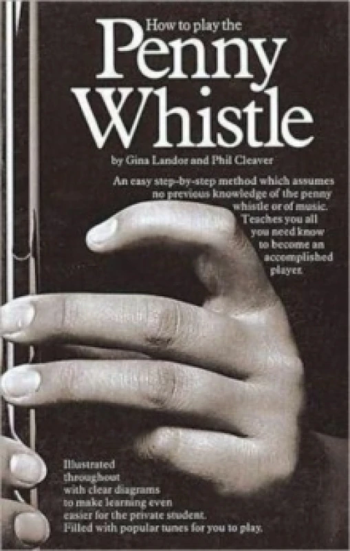 Image of How to Play the Penny Whistle by Gina Landor Paperback