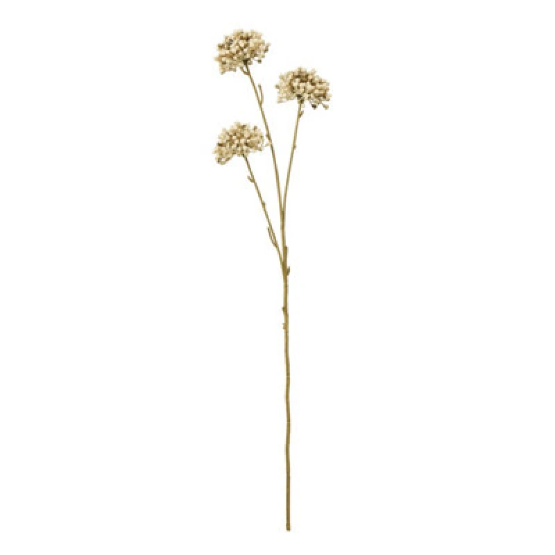 Image of Brown Allium Spray