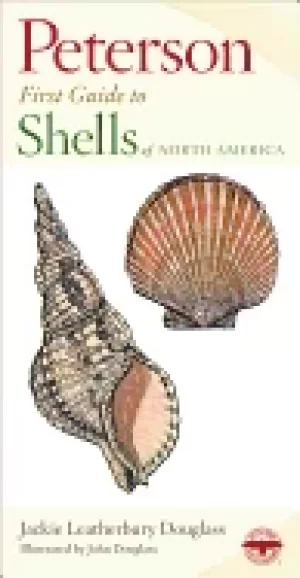 Image of peterson first guide to shells of north america