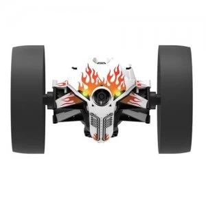 Image of Parrot Jett