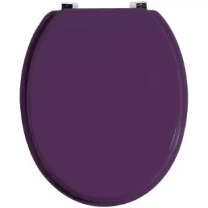 Image of Purple Toilet Seat - Premier Housewares