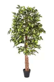 Image of Green Artificial Ficus Tree with Twisted Real Wood Trunk, 6 Ft