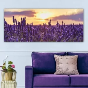 Image of YTY652199245_50120 Multicolor Decorative Canvas Painting