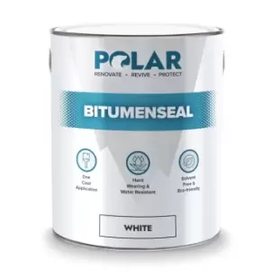 Image of Polar Premium Bitumen Seal White Paint 5kg