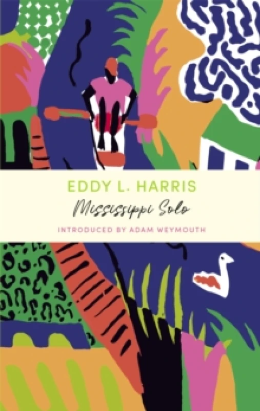 Image of Mississippi Solo : A John Murray Journey Paperback / softback