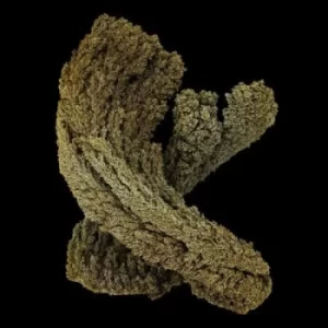 Image of Emergence by Max Cooper CD Album