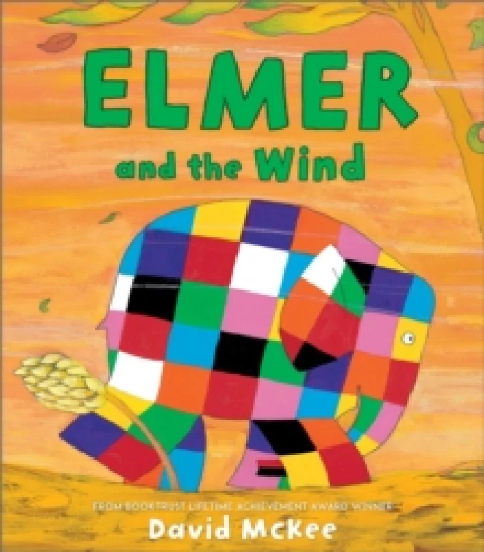 Image of David McKee Elmer and the Wind Paperback Book Multi