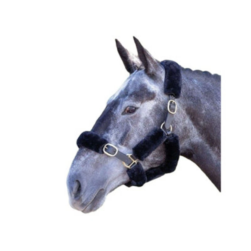 Image of Performance Horses Supafleece Halter Fleeces (Pack Of 6) Black (One Size)