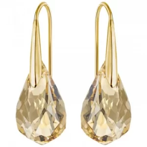 Image of Ladies Swarovski PVD Gold plated ENERGETIC EARRINGS