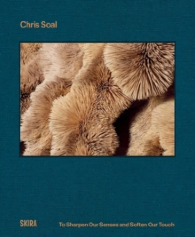 Image of Chris Soal : To Sharpen our Senses and Soften our Touch Hardback