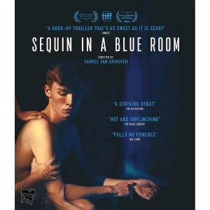 Image of Sequin in a Blue Room