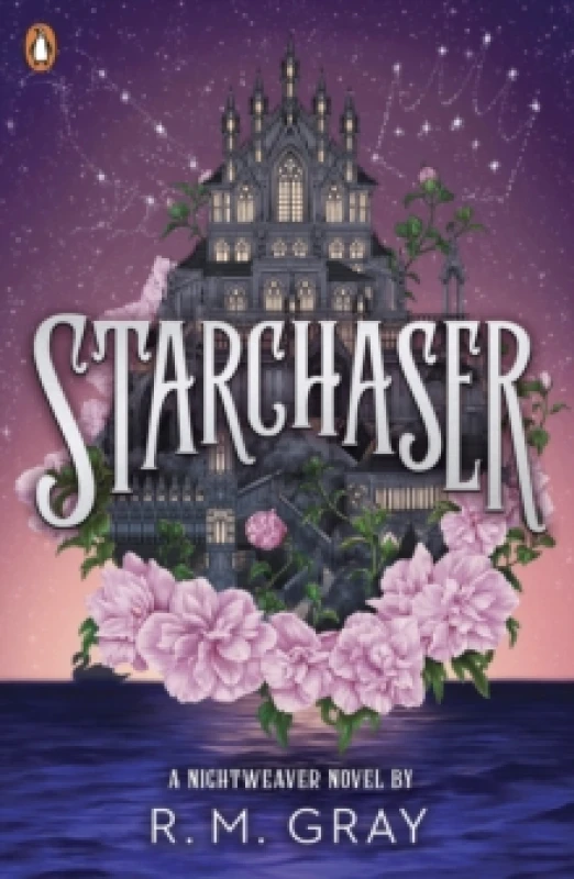 Image of Starchaser Paperback / softback