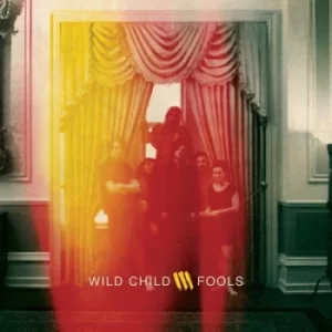 Image of Fools by Wild Child Vinyl Album