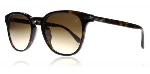 Image of dunhill SDH012 Tortoise 0722 52 Sunglasses Tortoise 722 Polariserade 52mm