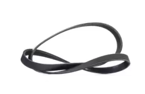 Image of RIDEX V-ribbed belt FIAT,ABARTH 305P0423 46548454,55219226,71749447 Serpentine belt,Auxiliary belt,Poly V-belt,Ribbed belt,Multi V-belt,Poly belt