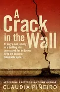 Image of crack in the wall