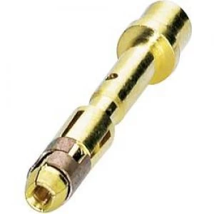 Image of Coninvers 1605557 SF 6AS2000 Gold