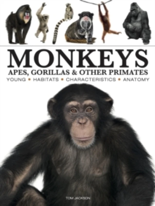 Image of Monkeys Paperback / softback