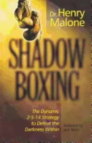 Image of shadow boxing the dynamic 2 5 14 strategy to defeat the darkness within