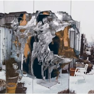 Image of Roamer - What The Hell Vinyl