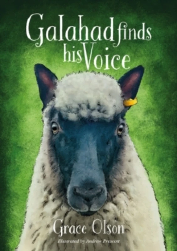 Image of Galahad finds his Voice Paperback / softback