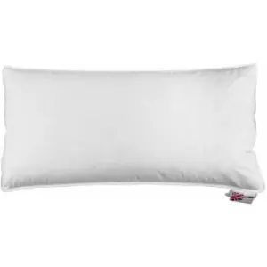 Image of HOMESCAPES Goose Feather & Down Euro Continental Pillow - 40cm x 80cm (16x32) - White
